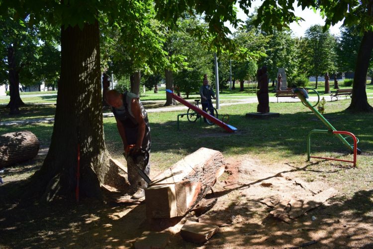 Kiparska kolonija Ernestinovo, 2019. godina