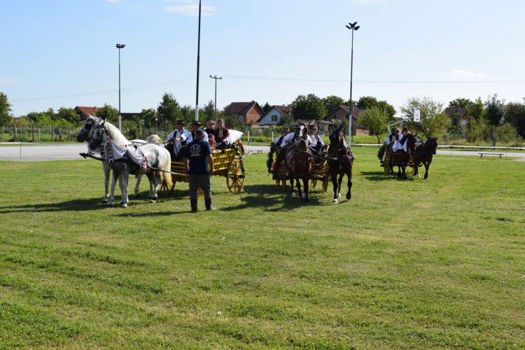 Kiparska kolonija Ernestinovo, 2019. godina