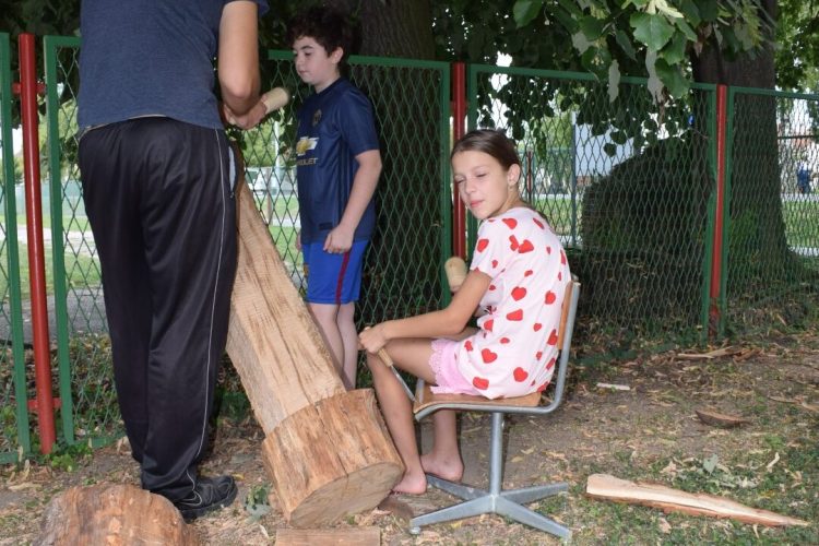 Kiparska kolonija Ernestinovo, 2019. godina
