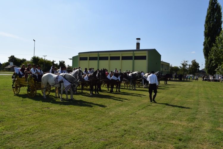 Kiparska kolonija Ernestinovo, 2019. godina