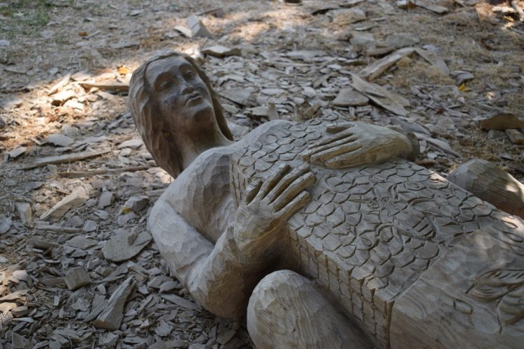 Kiparska kolonija Ernestinovo, 2020. godina